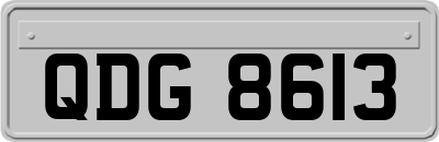 QDG8613
