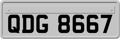 QDG8667