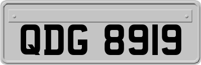 QDG8919