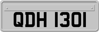 QDH1301