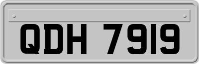 QDH7919