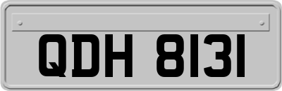 QDH8131