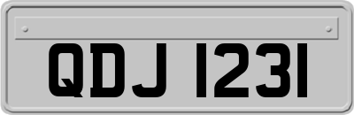 QDJ1231