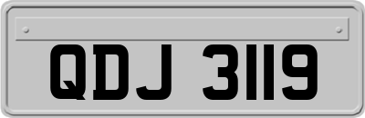 QDJ3119