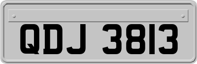 QDJ3813