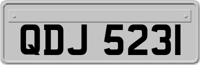 QDJ5231