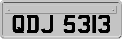 QDJ5313