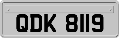 QDK8119