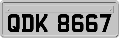 QDK8667