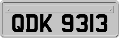 QDK9313