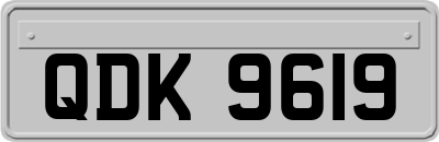 QDK9619