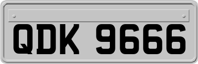QDK9666
