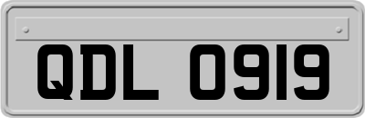 QDL0919