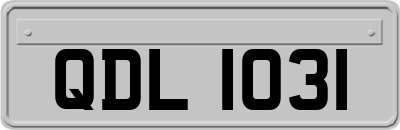 QDL1031