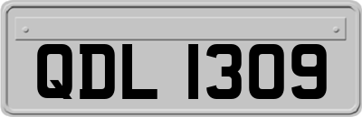 QDL1309