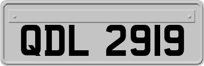 QDL2919