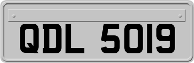 QDL5019