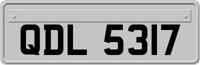 QDL5317