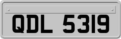QDL5319