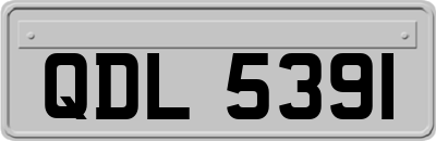 QDL5391