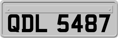 QDL5487