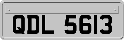 QDL5613