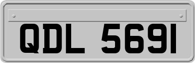 QDL5691