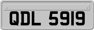 QDL5919