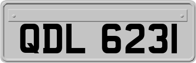 QDL6231
