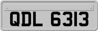 QDL6313