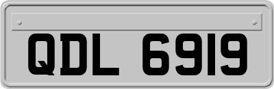 QDL6919