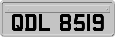 QDL8519