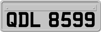 QDL8599