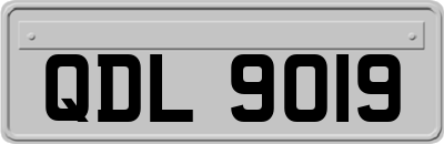 QDL9019
