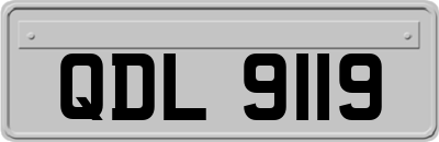 QDL9119