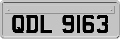 QDL9163