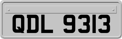 QDL9313