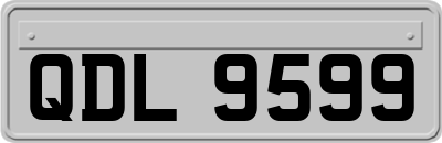 QDL9599