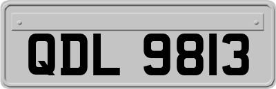 QDL9813