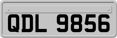 QDL9856