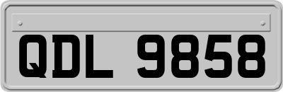 QDL9858