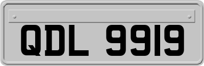 QDL9919
