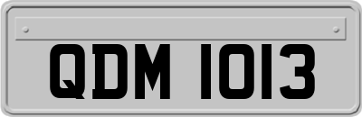 QDM1013