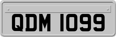 QDM1099