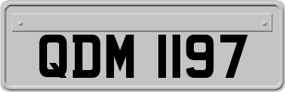 QDM1197