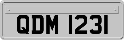 QDM1231