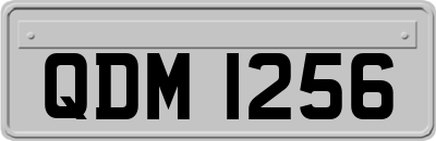 QDM1256