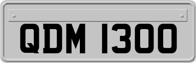 QDM1300
