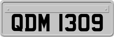 QDM1309