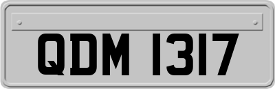 QDM1317